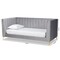Baxton Studio Oksana Modern Contemporary Glam and Luxe Light Grey Velvet Fabric and Gold Finished Twin Size Daybed 174-10981-Zoro - alternate 7